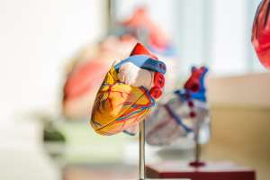 Holter cardiaco: quando farlo e come farlo